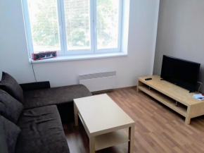 Apartman u Vila Tugenhart